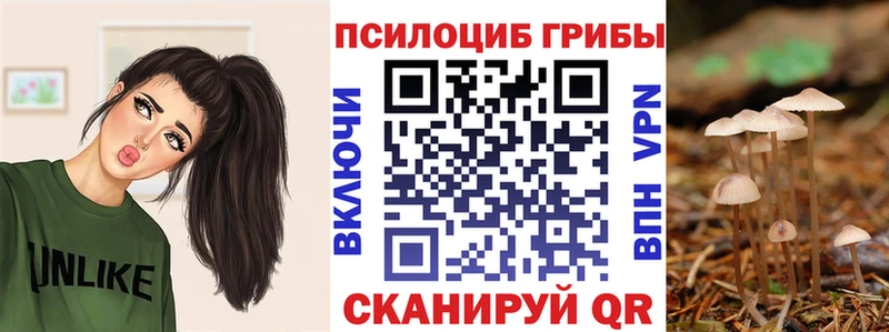 Купить Мамадыш Псилоцибиновые грибы Psilocybine cubensis